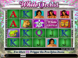 IGT Slot Game - White orchid
