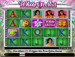 Slot Games Reviews