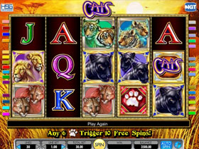 Cats Slot Screenshot